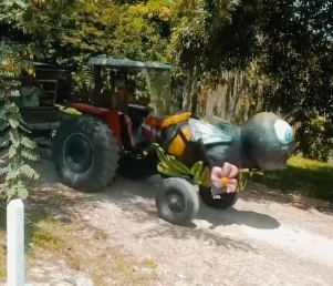 Apiário Bela Flora