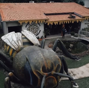 Apiário Bela Flora